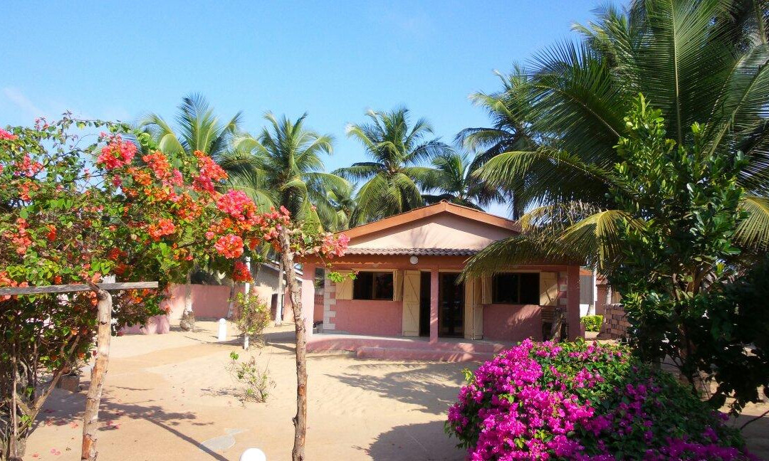 Coconut's Village