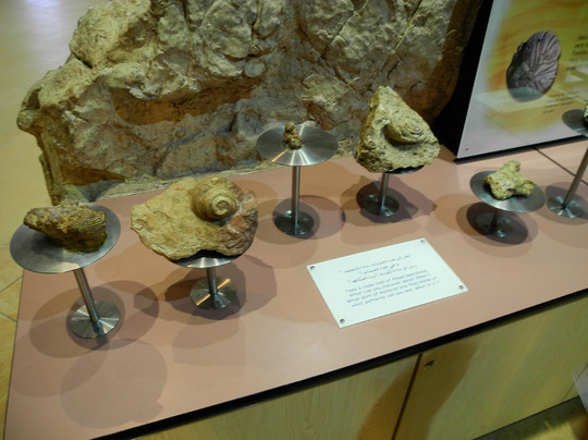 迪拜儿童城-迪拜必去景点