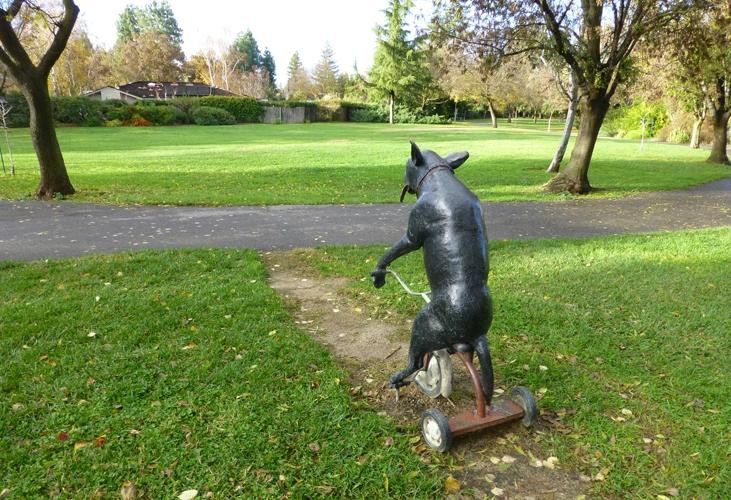 Davis Greenbelt-戴维斯必去景点