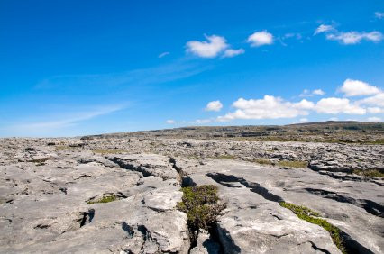 维尔德哈尼酒店主图