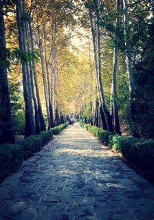 Jamshidieh Stone Garden景点图片