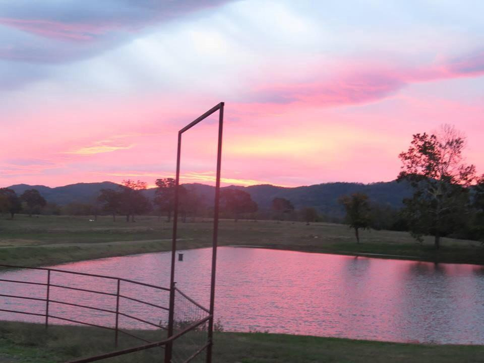 Buffalo Creek Guest Ranch