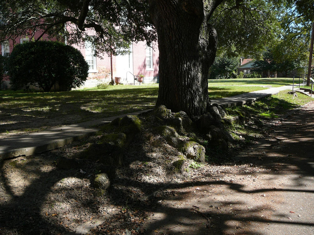 Port Gibson, Mississippi景点图片