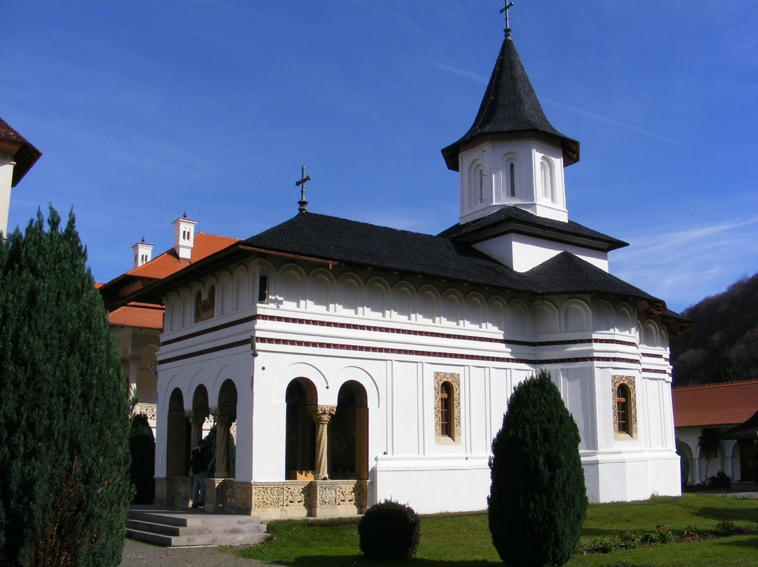 Brancoveanu Monastery景点图片