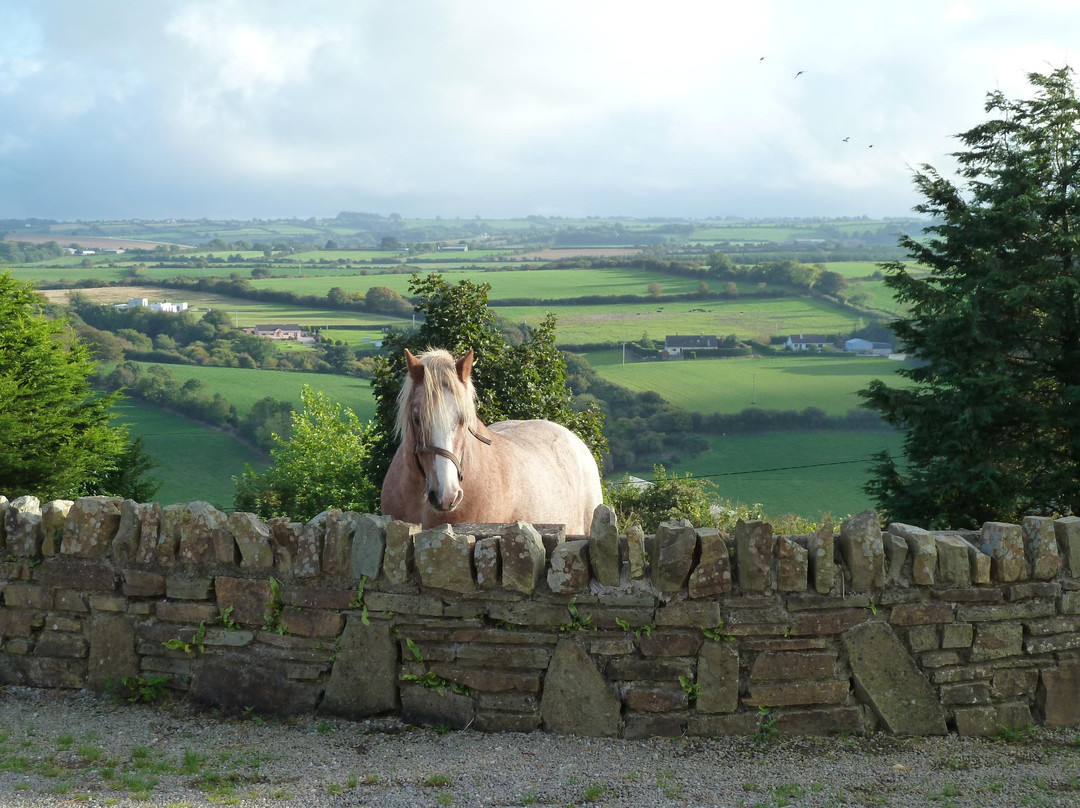 Ardfield Farmhouse B&B主图