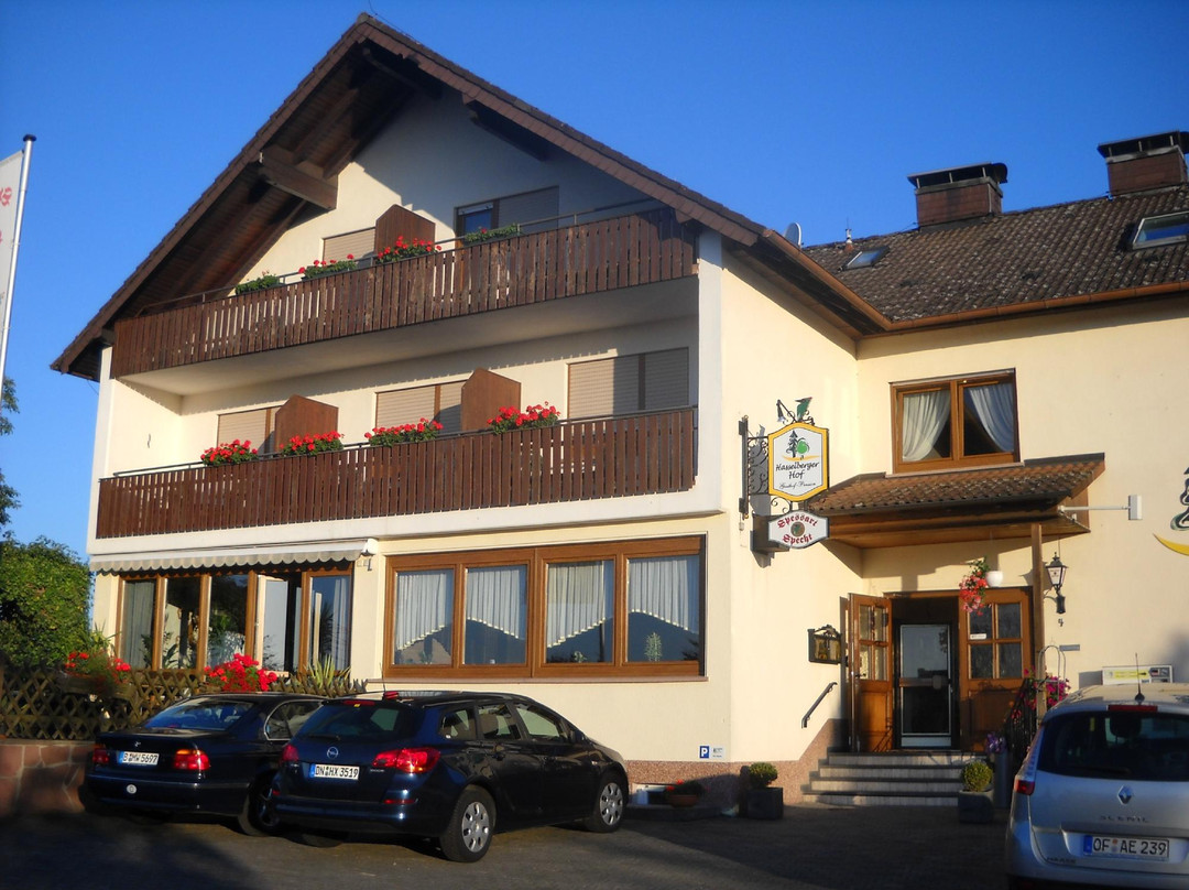 Stadtprozelten酒店住宿-Hasselberger Hof