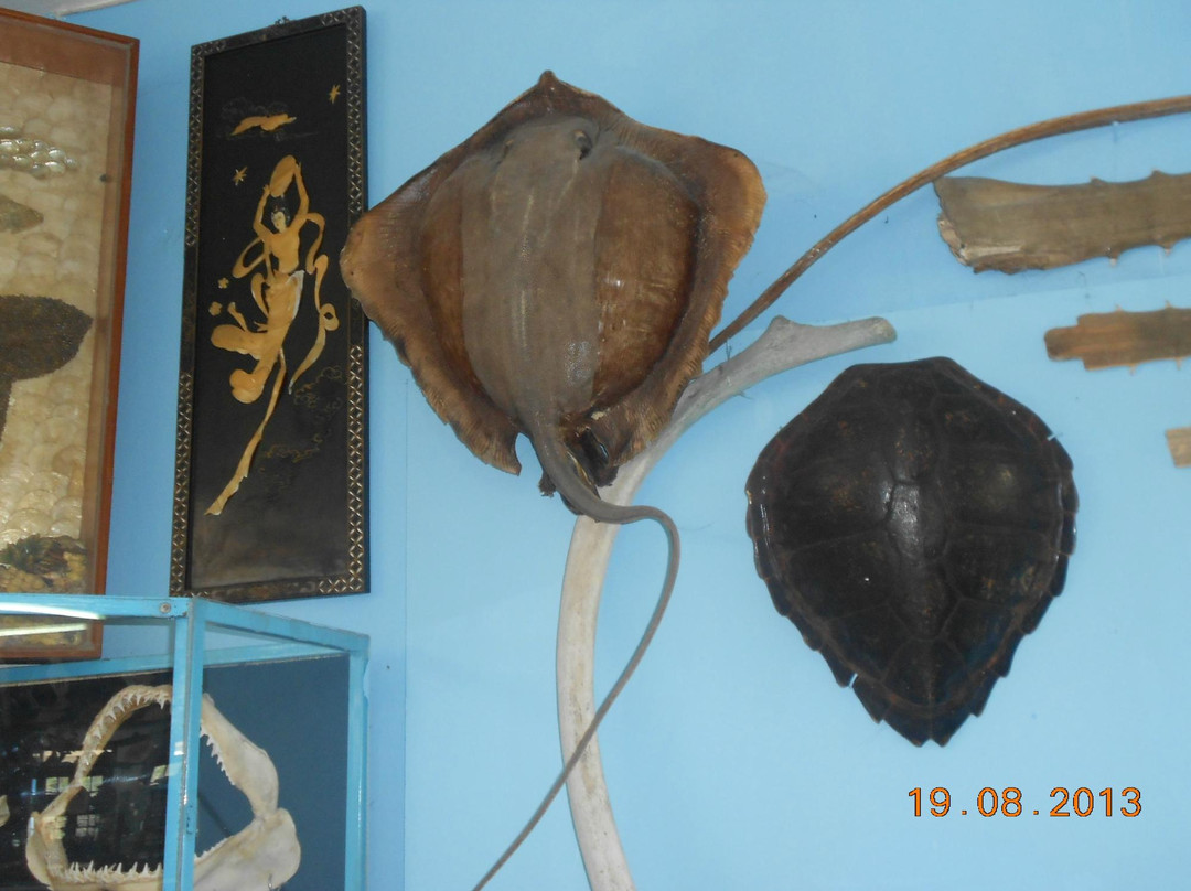 Corfu Shell Museum-科孚必去景点