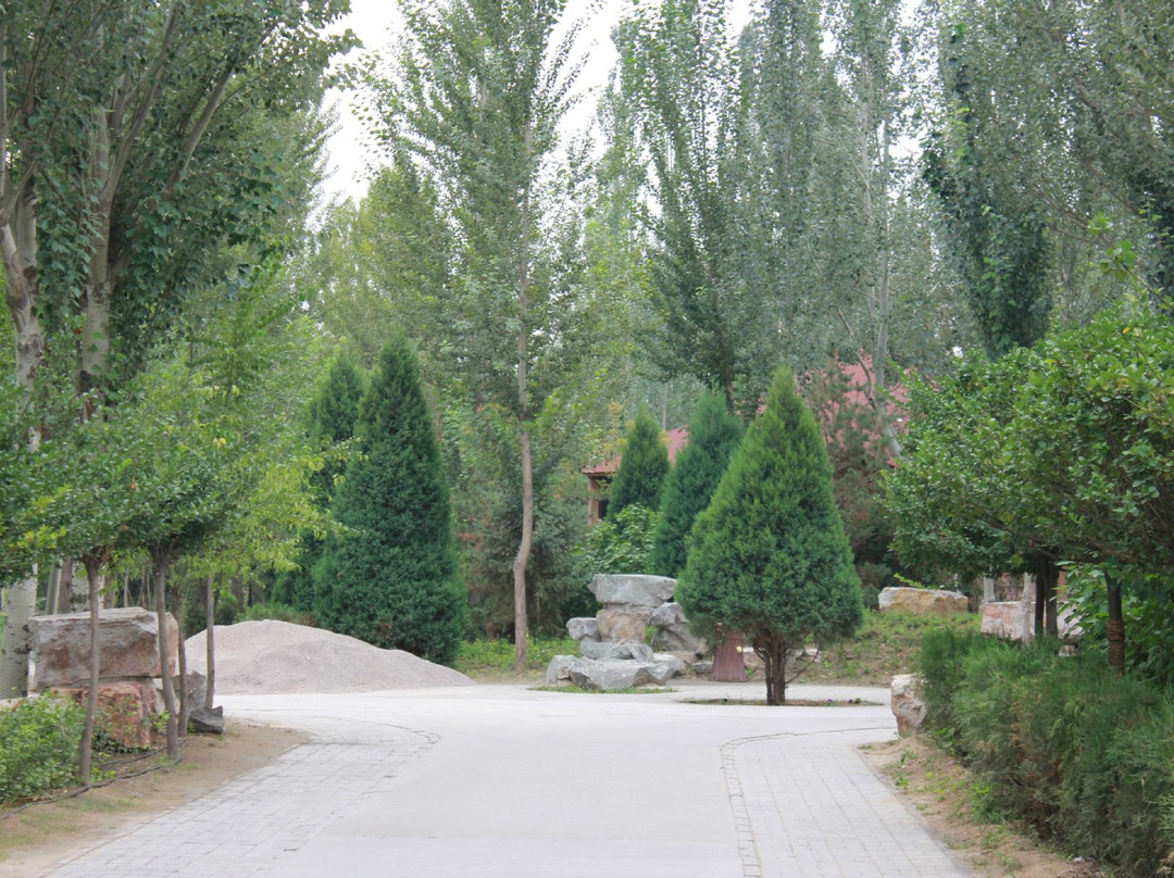 银川植物园-银川市必去景点