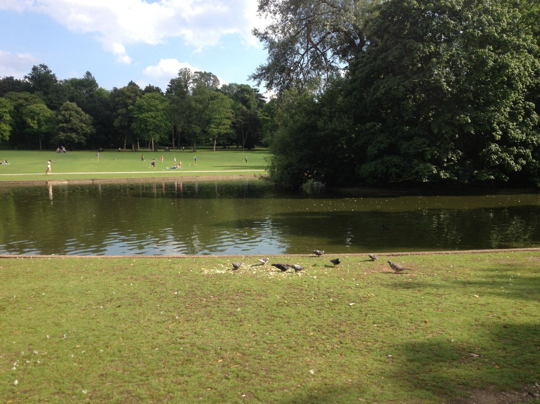 佳能山公园-伯明翰必去景点