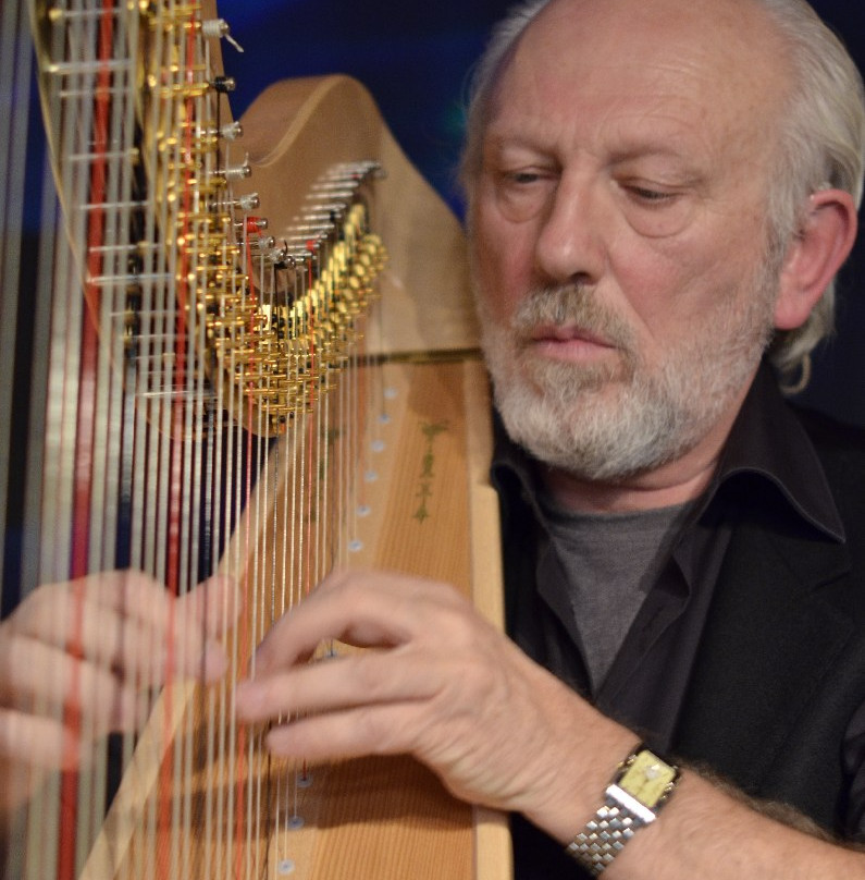 Luc Vanlaere Harpist - Harp Museum-布鲁日必去景点