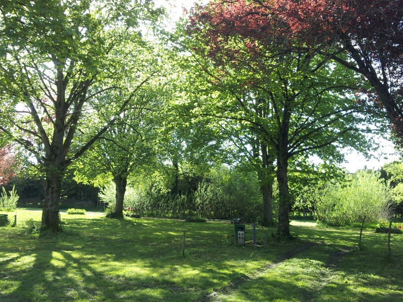 Camping Salixcamp