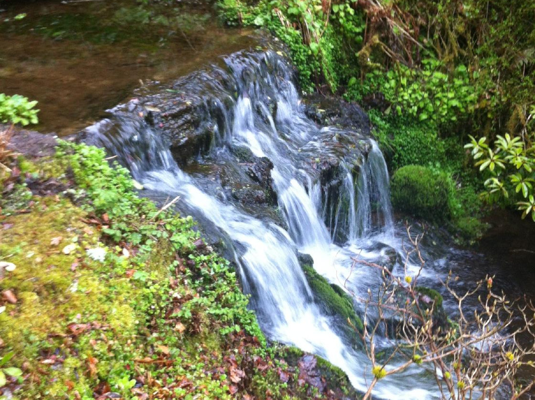 Kildrummy Castle Gardens-Alford必去景点