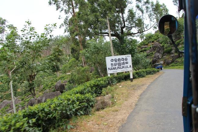 Morris Bungalow主图