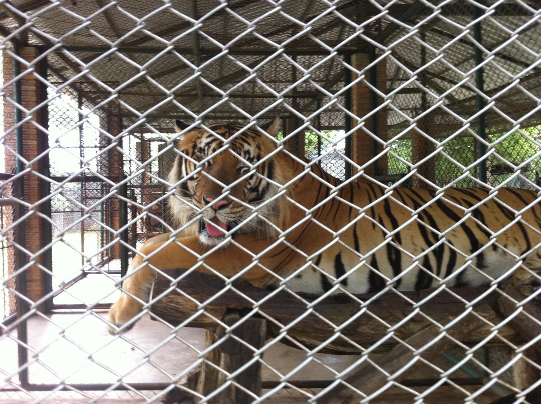 Trakarn zoo ubon-打干普奔必去景点