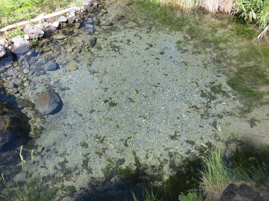 McCauley Warm Springs-Jemez Springs必去景点