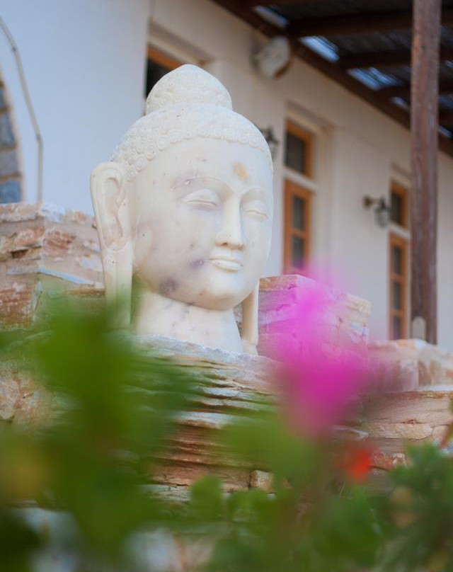 Tao's Center-纳乌萨必去景点