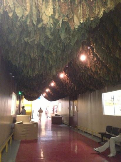 La Aurora Cigar Factory-圣地亚哥必去景点