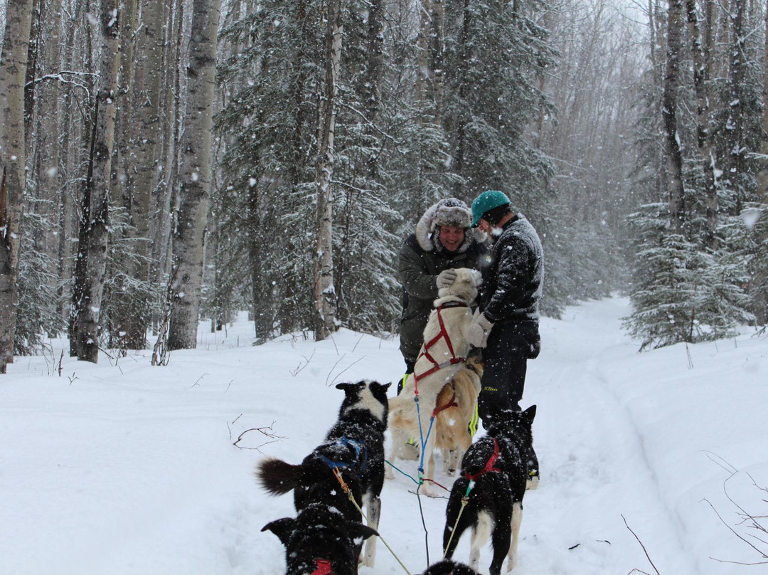 Muzzy's Place Dogsled Adventure -  Day Tours-费尔班克斯必去景点