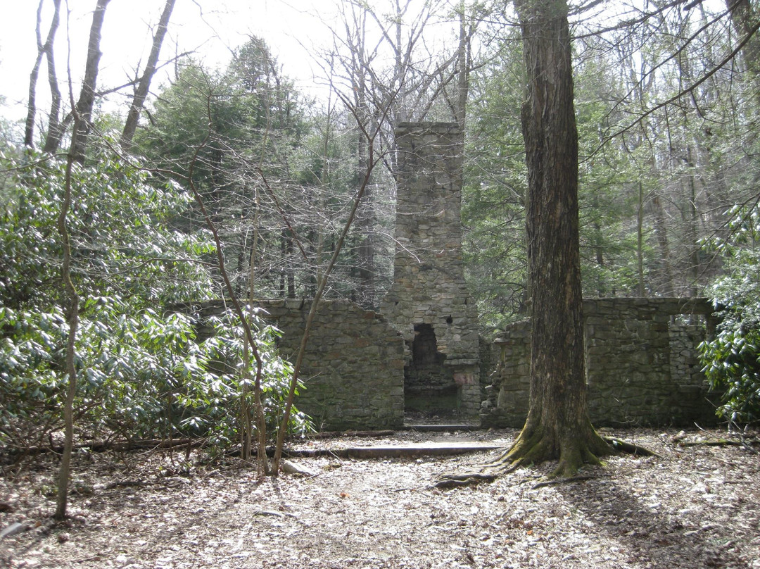 Linn Run State Park景点图片