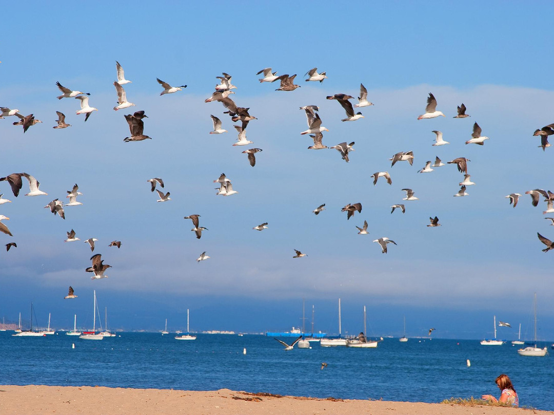 海岸线公园-圣巴巴拉必去景点