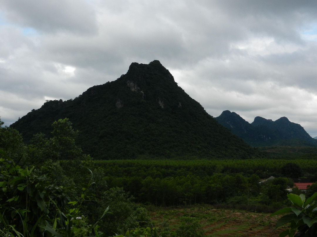 Eco Nature Travel景点图片