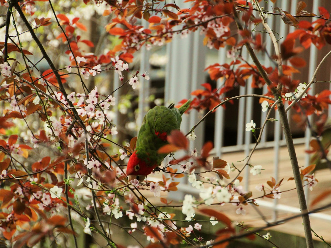 费尔波特步道-旧金山必去景点