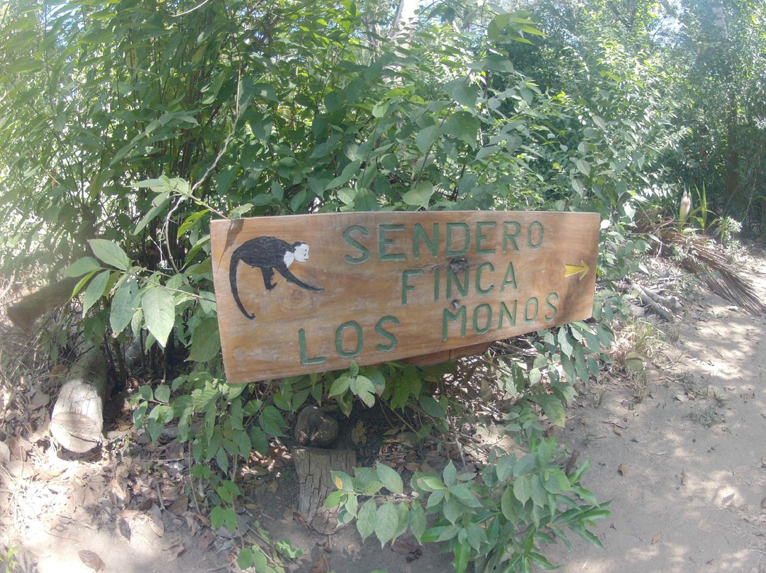 Olingo Surf and Nature Experiences-圣特雷莎必去景点