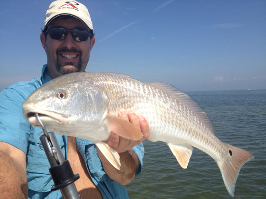 Tarpoons Private Charters-萨尼贝尔岛必去景点