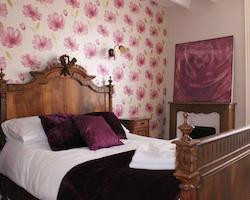 La Belle Vienne主图