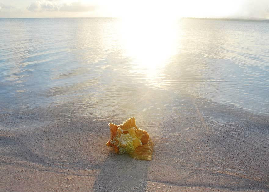 Owen Island-Little Cayman必去景点