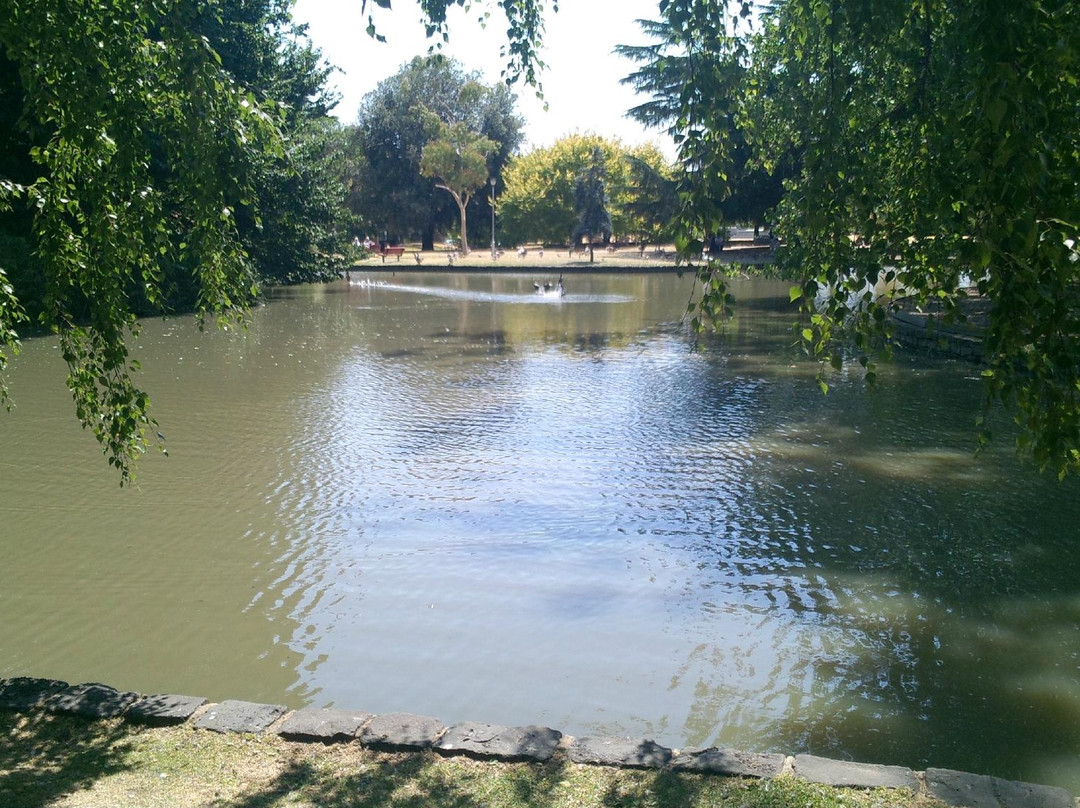 Caulfield Park景点图片
