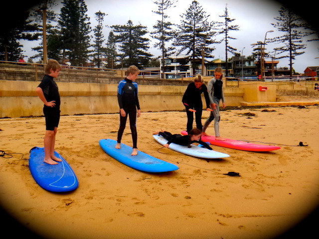 Manly Surf Guide景点图片