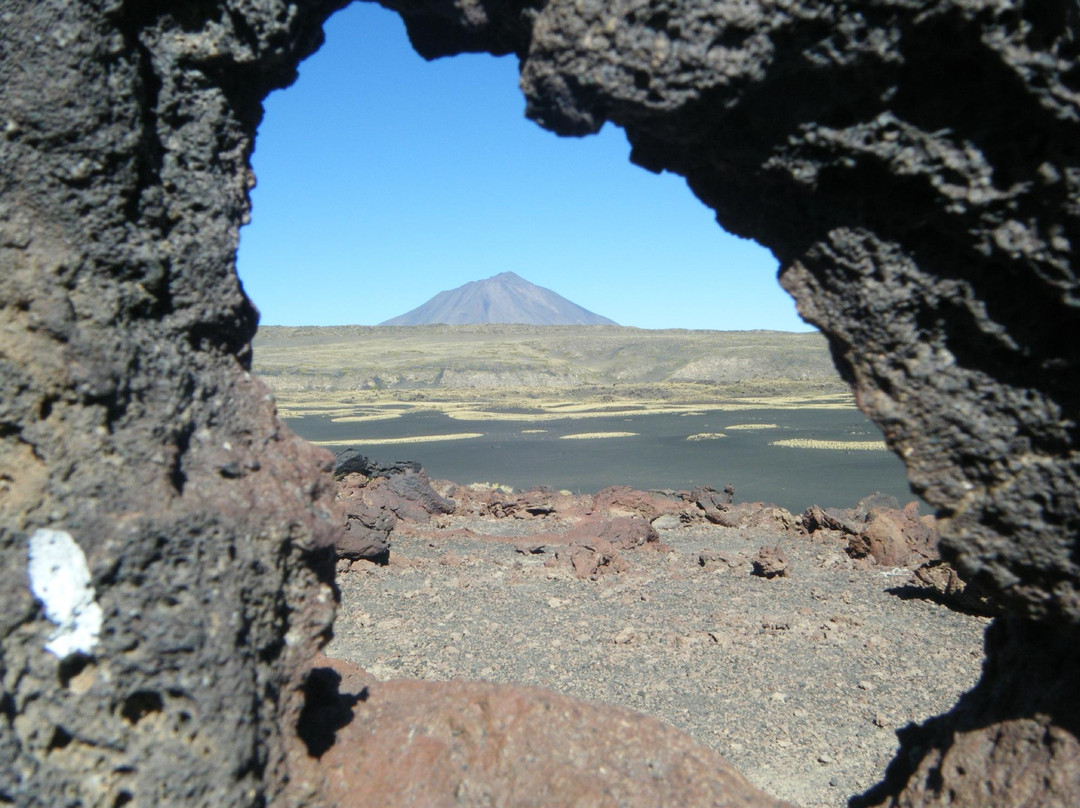 Reserva Provincial La Payunia-Malargue必去景点