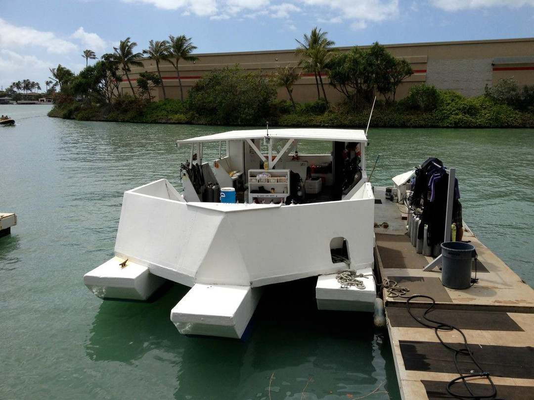 Living Ocean Tours-火奴鲁鲁必去景点