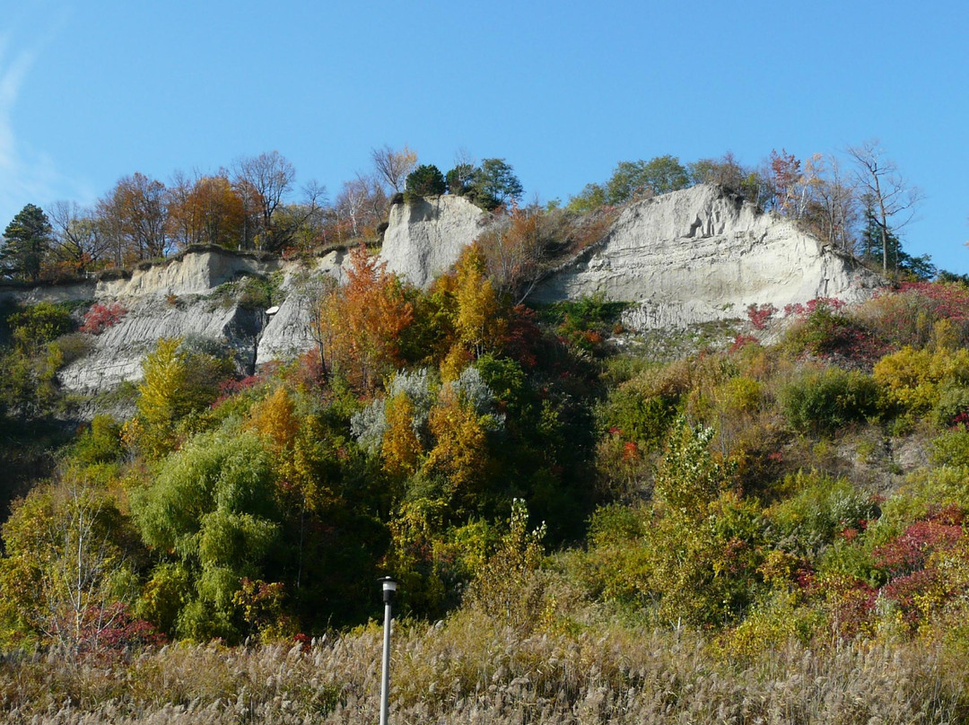 悬崖公园-多伦多必去景点