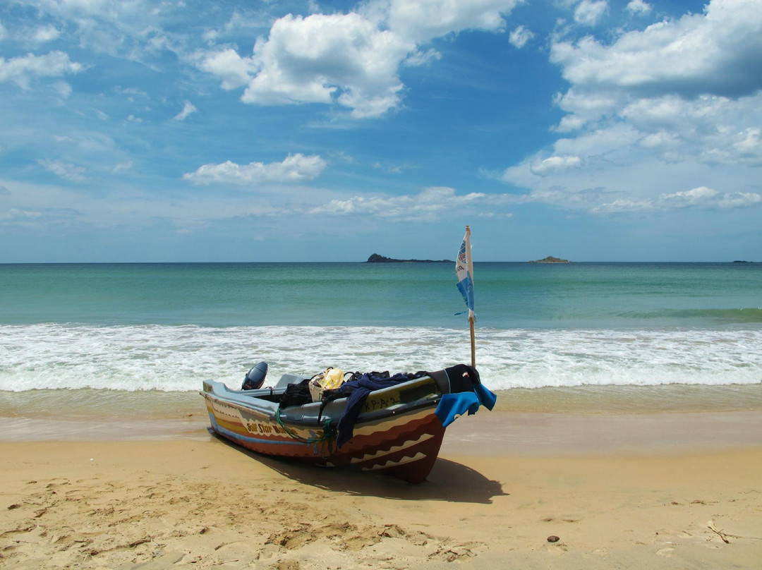 Pigeon Island National Park景点图片