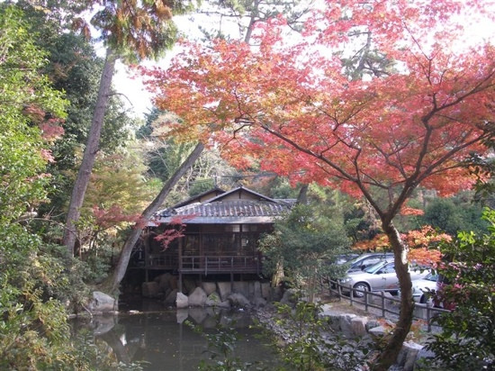Ueno Park景点图片