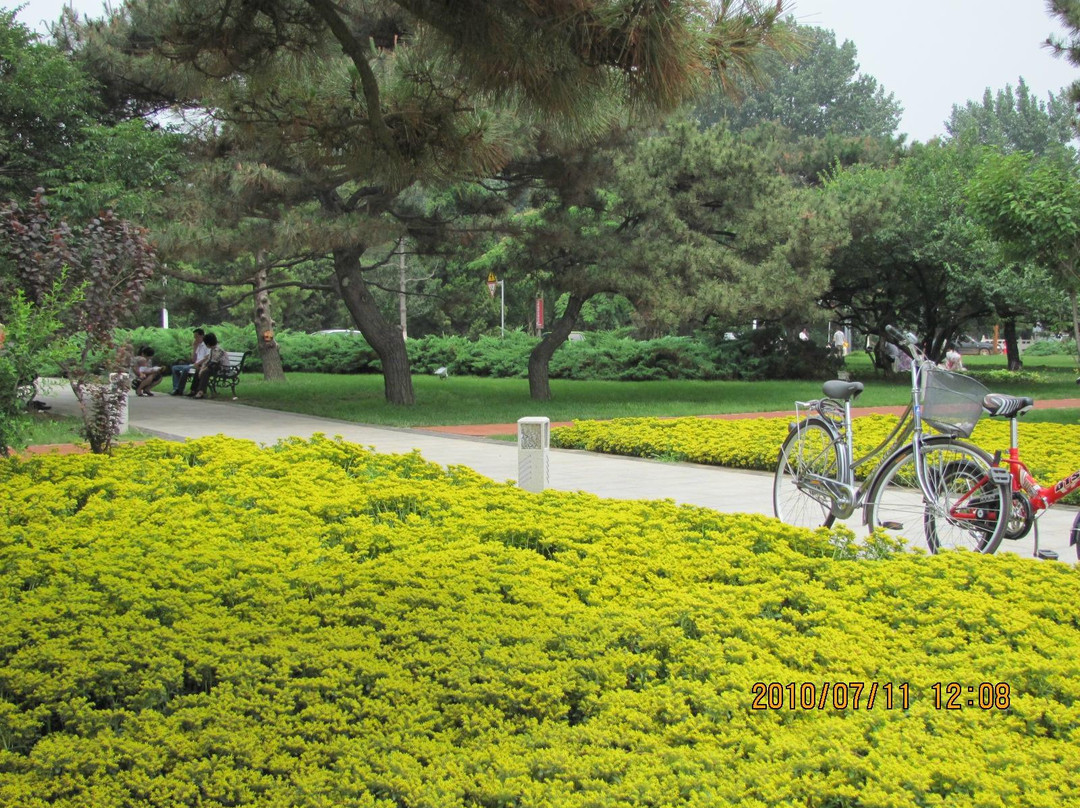 南戴河金沙湾-秦皇岛市必去景点