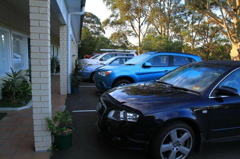 The Tree Motel主图