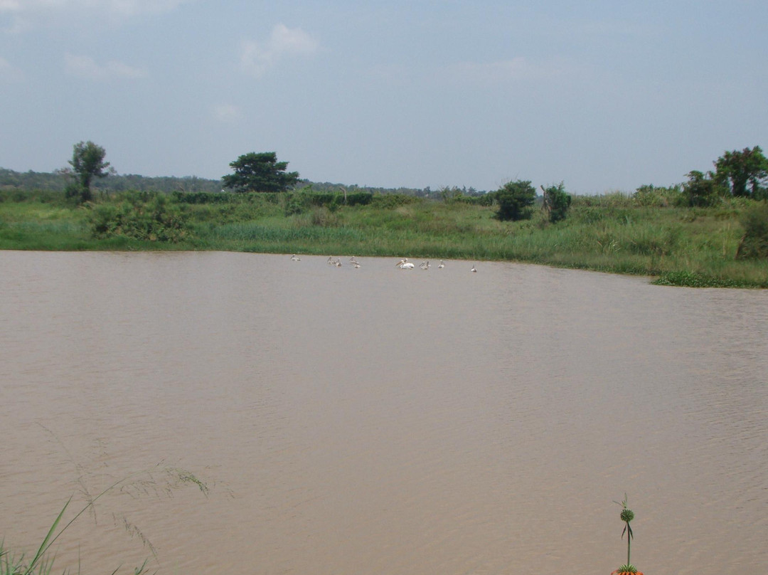 Lake Kanyaboli National Reserve-基苏木必去景点