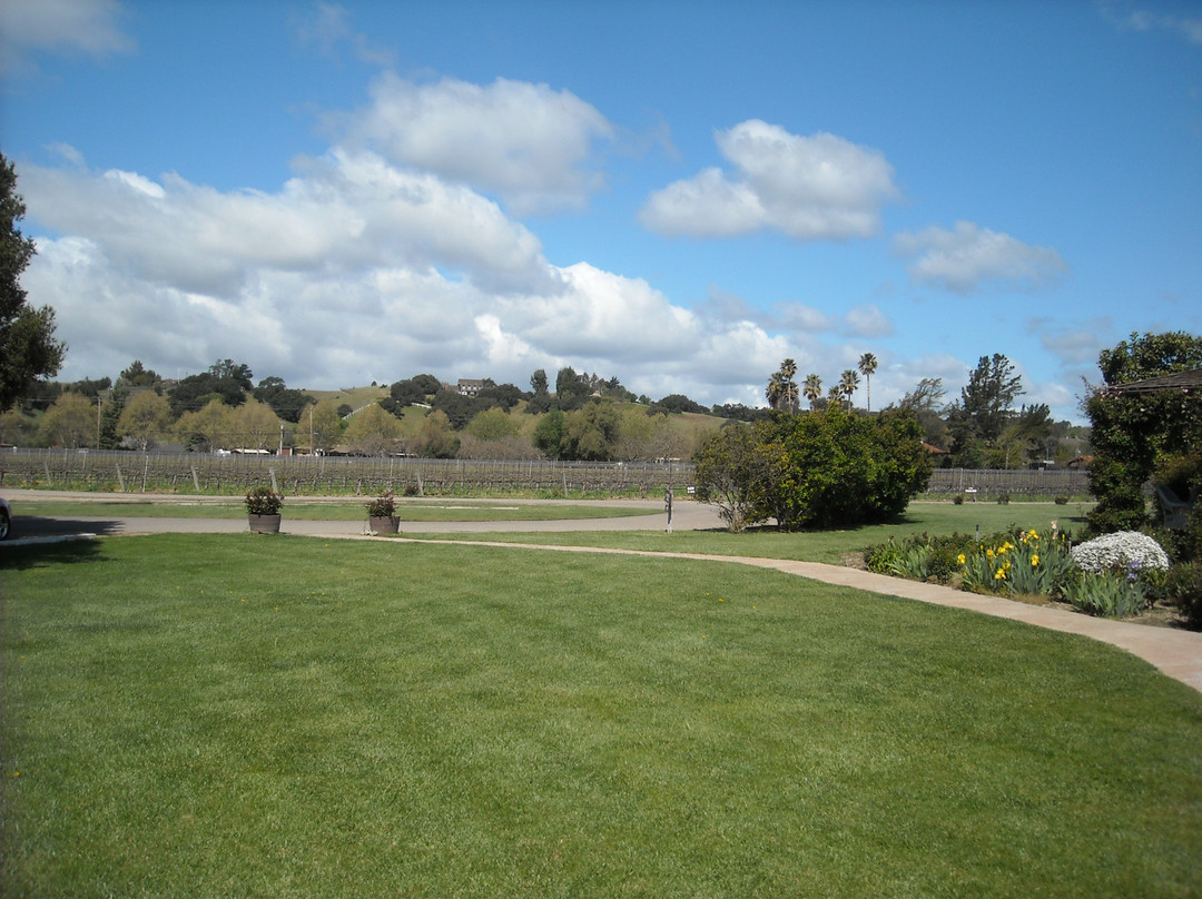 丽都葡萄园-索尔万必去景点