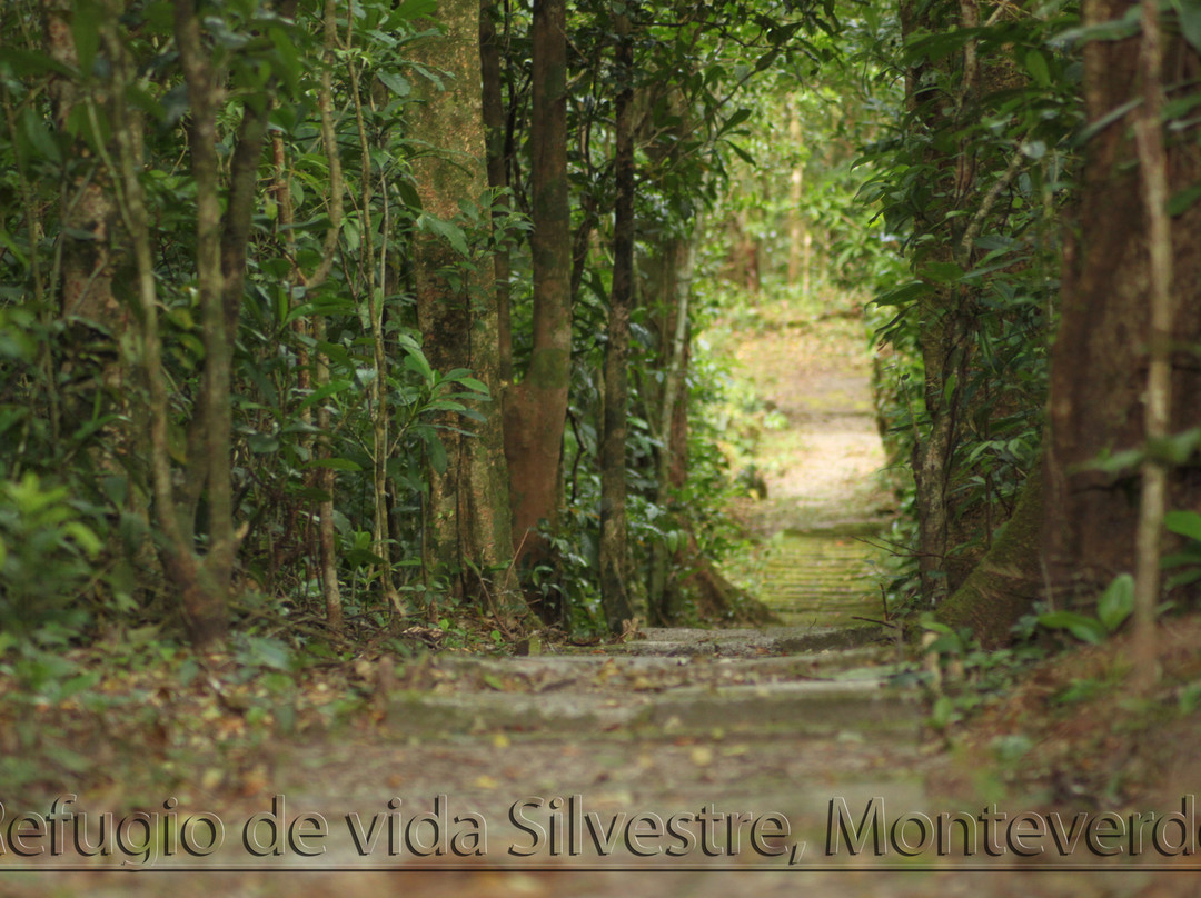 Monteverde Wildlife Refuge景点图片