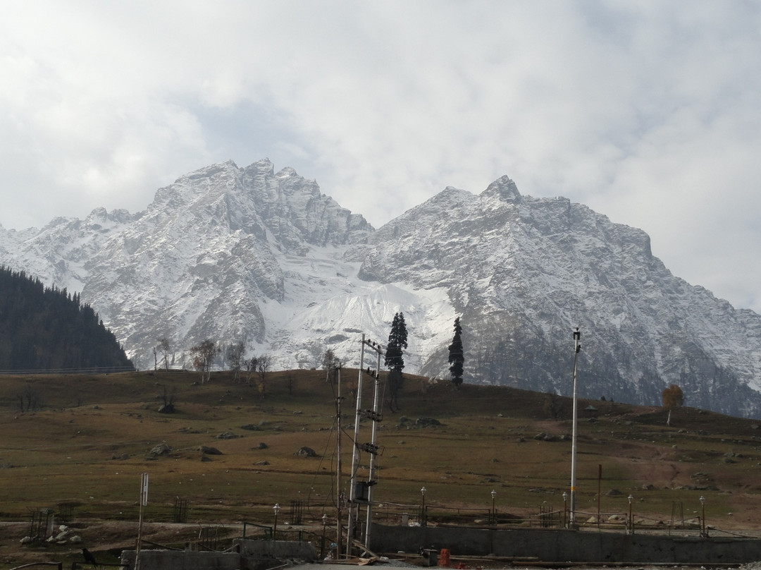 Hotel Sonamarg Palace主图