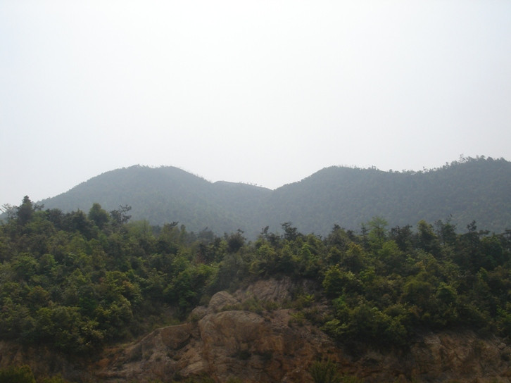 丫山森林公园-大余县必去景点