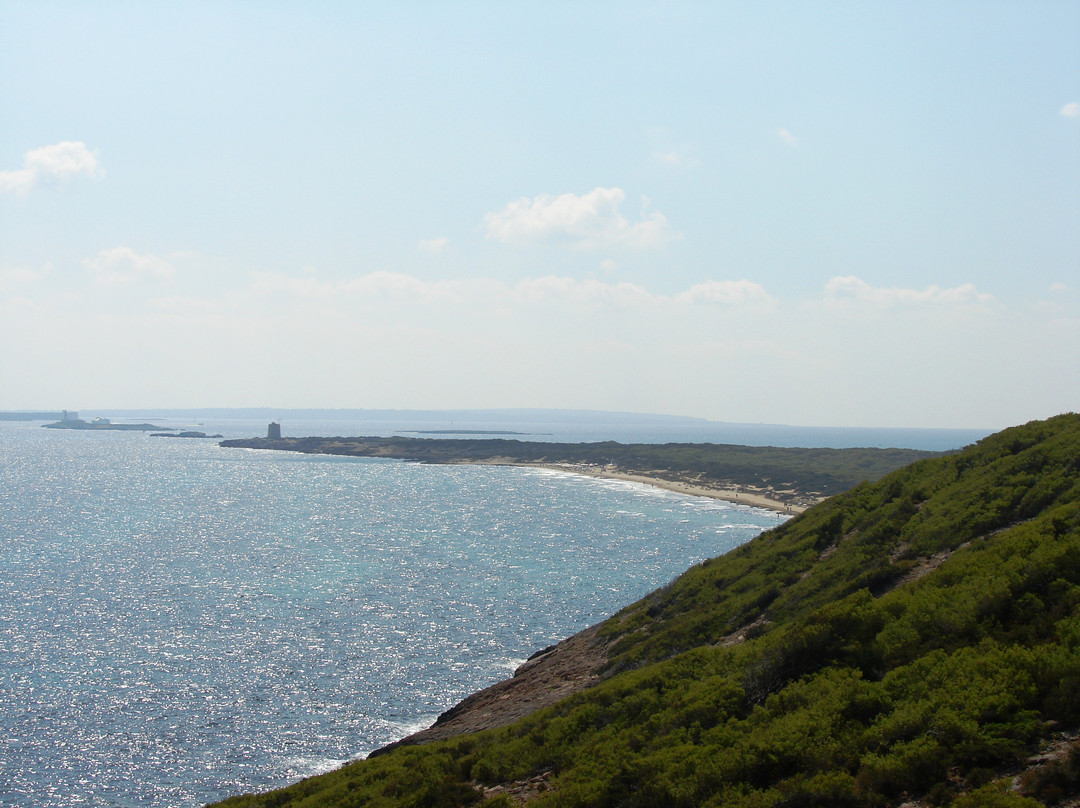Platja Des Cavallet-伊维萨城区必去景点