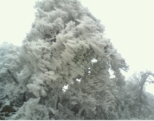 天湖山-泰和县必去景点