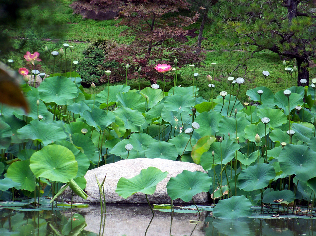 荷花园-蒙特西托必去景点
