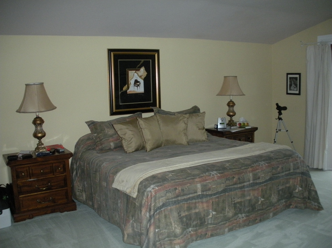 Willow Shores B&B主图