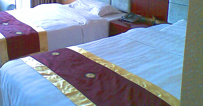 博纳斯酒店(成都万象城玉双路地铁站店)主图