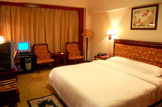 银河大酒店（南宁火车站）-客卧